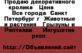 Продаю декоративного кролика › Цена ­ 500 - Все города, Санкт-Петербург г. Животные и растения » Грызуны и Рептилии   . Ингушетия респ.